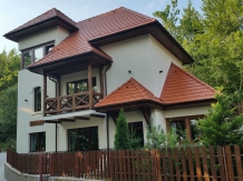 Vila Alfinio - alloggio in  Valle di Prahova (01)