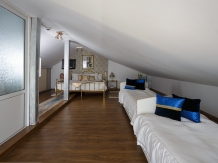 Pensiunea Casa Elena - accommodation in  Sibiu Surroundings (47)