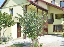 Vila Bel Ami - accommodation in  Sibiu Surroundings (01)