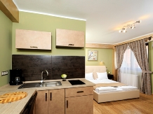 Vila Style Residence - alloggio in  Transilvania (03)