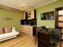 Vila Style Residence - accommodation in  Transylvania (06)