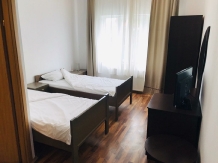 Pensiunea Lazy - accommodation in  Sibiu Surroundings (09)