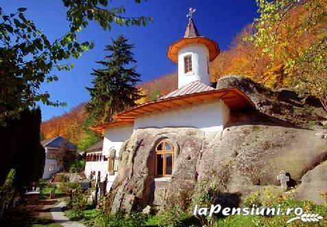 Pensiunea Geostar - accommodation in  Fagaras and nearby, Muscelului Country (Surrounding)