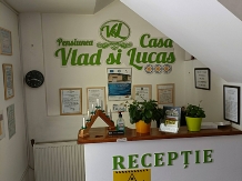 Casa Vlad si Lucas - alloggio in  Valea Cernei, Herculane (25)