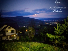 Vila 4 Anotimpuri Poieni - cazare Valea Buzaului (01)