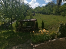 Vila 4 Anotimpuri Poieni - alloggio in  Valea Buzaului (11)
