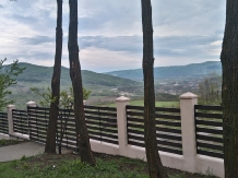 Vila 4 Anotimpuri Poieni - alloggio in  Valea Buzaului (63)