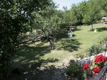 Vila 4 Anotimpuri Poieni - alloggio in  Valea Buzaului (64)