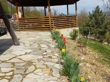 Vila 4 Anotimpuri Poieni - alloggio in  Valea Buzaului (89)