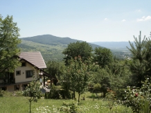 Vila 4 Anotimpuri Poieni - alloggio in  Valea Buzaului (97)