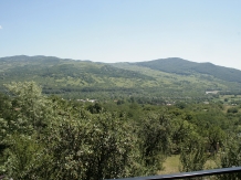 Vila 4 Anotimpuri Poieni - alloggio in  Valea Buzaului (107)