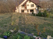 Vila 4 Anotimpuri Poieni - alloggio in  Valea Buzaului (115)
