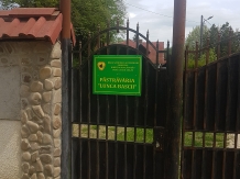 Vila 4 Anotimpuri Poieni - alloggio in  Valea Buzaului (119)