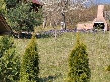 Vila 4 Anotimpuri Poieni - alloggio in  Valea Buzaului (130)