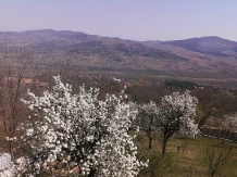 Vila 4 Anotimpuri Poieni - alloggio in  Valea Buzaului (132)