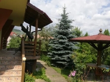 Enothera Rosema - accommodation in  Muntenia (20)