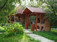 Enothera Rosema - accommodation in  Muntenia (26)