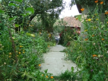 Enothera Rosema - accommodation in  Muntenia (31)