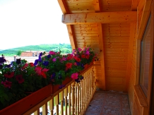 Pensiunea Iulia - accommodation in  Transylvania (02)