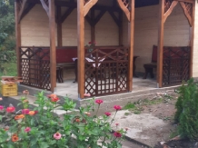 Pensiunea Iulia - accommodation in  Transylvania (42)