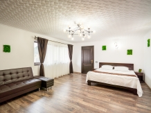 Royal Rado Villa Premium - accommodation in  Rucar - Bran, Moeciu (19)