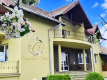 Orchard Villa Brasov - alloggio in  Vallata di Brasov (54)