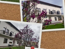 Pensiunea Alesia - accommodation in  Muntenia (04)