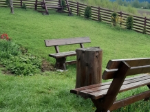 Pensiunea Irina Albac - accommodation in  Apuseni Mountains, Motilor Country, Arieseni (30)