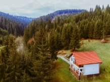 Casa Cifu - alloggio in  Transilvania (01)