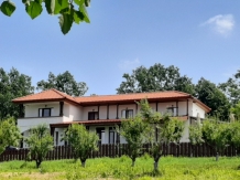Pensiunea Emelys - accommodation in  Moldova (04)