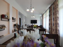 Pensiunea Emelys - accommodation in  Moldova (10)