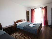 Pensiunea Emelys - accommodation in  Moldova (13)