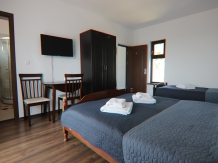 Pensiunea Emelys - accommodation in  Moldova (33)
