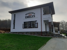 Pensiunea Emelys - accommodation in  Moldova (58)