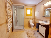 Cabana PartyHouse - accommodation in  Fagaras and nearby, Sambata (29)