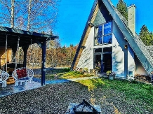 Forest A-Frame Guesthause - accommodation in  Fagaras and nearby, Transfagarasan (01)