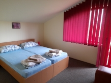 Casa cu Flori - accommodation in  Transylvania (11)
