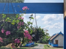 Pensiunea Talian - accommodation in  Dobrogea (02)