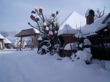 Pensiunea Bud - accommodation in  Maramures Country (03)