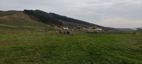 La Hacienda Piscina si Centru de Echitatie - accommodation in  Transylvania (Surrounding)