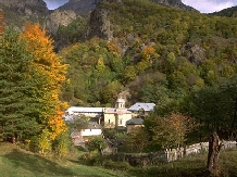 Pensiunea Ioana - alloggio in  Valea Oltului, Horezu (15)