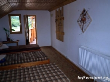 Pensiunea Zamolxe - accommodation in  Hateg Country (02)