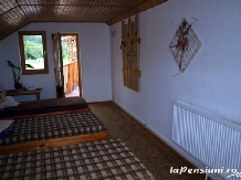 Pensiunea Zamolxe - cazare Tara Hategului (02)