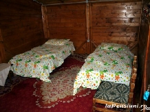 Pensiunea Zamolxe - accommodation in  Hateg Country (07)