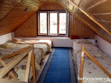 Pensiunea Zamolxe - accommodation in  Hateg Country (09)