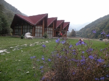 Cabana Retezat - accommodation in  Hateg Country (04)