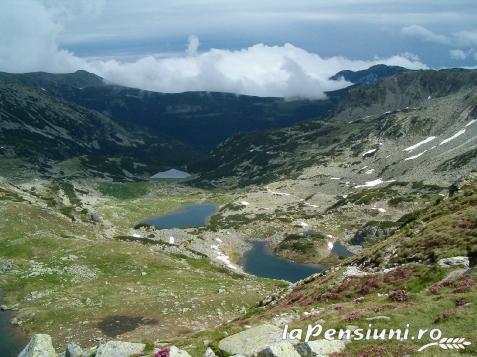 Cabana Retezat - accommodation in  Hateg Country (Surrounding)