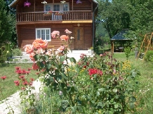 Pensiunea Venus - accommodation in  Hateg Country (01)