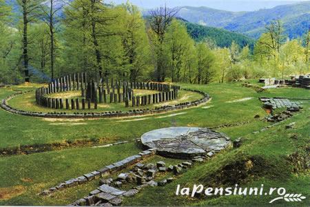 Pensiunea Venus - accommodation in  Hateg Country (Surrounding)