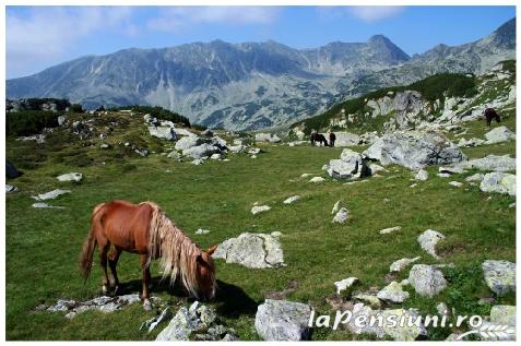 Pensiunea Lazarul - accommodation in  Hateg Country (Surrounding)